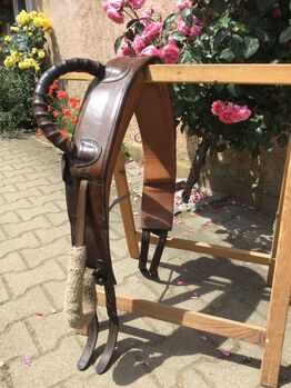 Voltigiergurt braun, Hanka, Lonżowanie, Forchheim