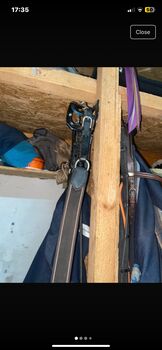 breastplate, start, Margarita, Bridles & Headstalls, palanga