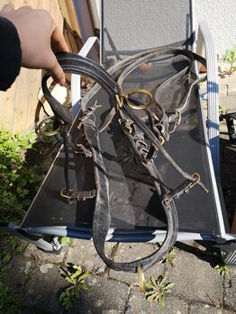 Brustblatt Zweispänner Geschirr, Unbekannt , Sonja Oettel, Horse Harness, Reutlingen