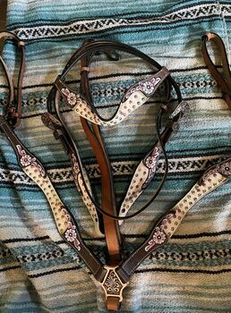 Bridle & breastcollar Unsure