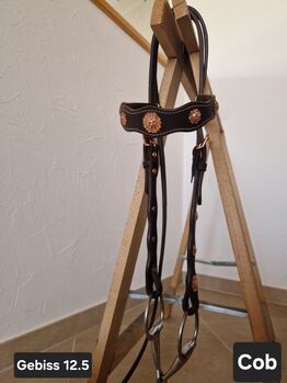 Zaumzeug braun mit Rosegold Felix bühler 