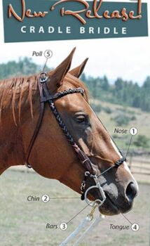 Zaum NEU mit Myler-Parelli-Gebiss, Myler-Parelli Cradle Bridle, Doris Ellenberger , Bridles & Headstalls, Ottenbach 