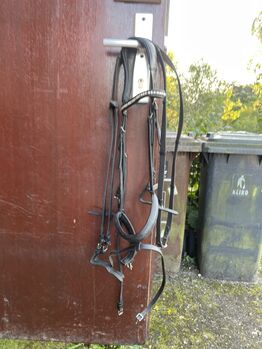 Trense weichleder, Cladrige house, Helene , Bridles & Headstalls, Groß Vollstedt