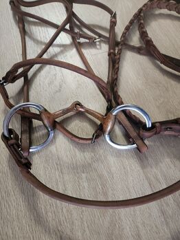 Bridle with bit