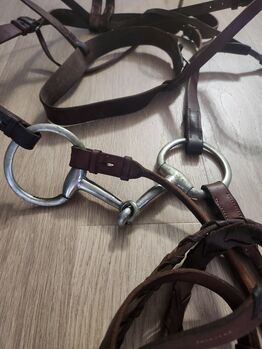 Bridle with bit