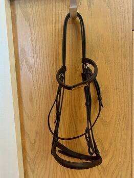 Bridle with Laced Reins (Brown Leather)
