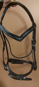 Zaumzeug XXFull mit V-Stirnriemen