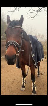 BRIDLERY Trense BRIDLERY Design your Bridle Charm