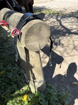 Bridlery Trense Leave, Bridlery, Anne-Maria Pehlke, Trensen, Krems an der Donau