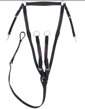 Vorderzeug Leder WB *neu*, HB Ruitersport, Sabine, Training Aids, Lastrup