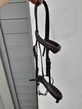 Braune Trense mit Diamantenstirnband, Jasmin, Bridles & Headstalls, Melle