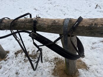 Brustblatt/Einspänner/WB/braun