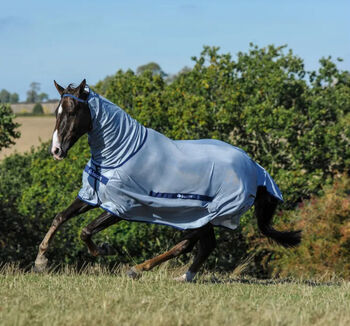 BUCAS Buzz-Off, Full Neck, Fliegendecke,145 cm, silber BUCAS Buzz-Off, Full Neck, Fliegendecke,145 cm, silber