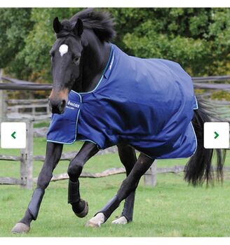 BUCAS Decke Smartex Medium 150g 145cm, Bucas  Smartex 150g 145cm, Dana, Horse Blankets, Sheets & Coolers, Sülstorf