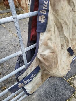 Bucas Power Turnout Light 135cm Bucas Power Turnout Light