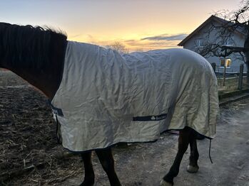 Bucas Power Turnout light in 145, Bucas  Power Turnout , Leonie, Horse Blankets, Sheets & Coolers, Petp