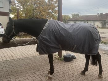 Regendecke Bucas, Bucas  Outdoor Smartex Rain, Alvina Harroider, Horse Blankets, Sheets & Coolers, Dreieich