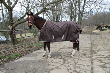 Bucas Smartex Rain, Bucas Smartex Rain, Helen , Horse Blankets, Sheets & Coolers, Freiberg