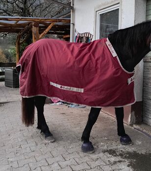 Bucas Smartex Rain Regendecke Pferd Bucas Smartex Rain