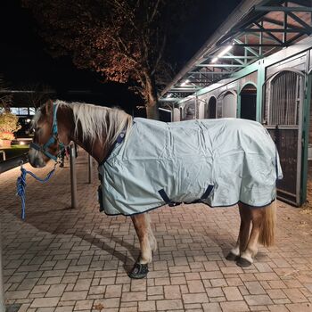 Bucas tournout light big neck, bucas  tournout light, Manuela Klein , Horse Blankets, Sheets & Coolers, Kelkheim (Taunus)