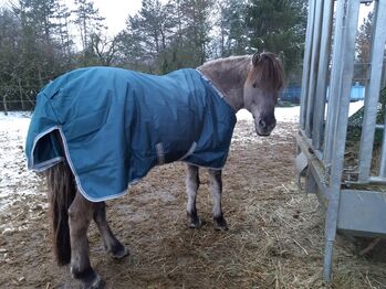Bucas Winterdecke Bucas Atlantic Turnout