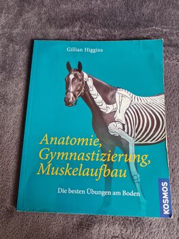 Buch  Anatomie pferd, Krämer  Buch , Marina Frank , Bücher, Ulm
