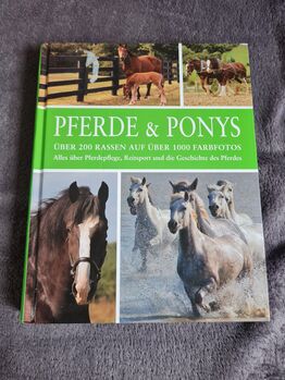 Buch  pferde und ponys, Buch , Marina Frank , Bücher, Ulm