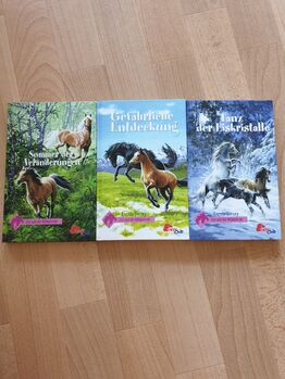 Bücher "Evy und die Wildpferde" 1-3 - Angela Dorsey, Pony Club, Jenni // Polarstern, Books, Beeskow