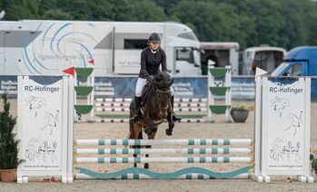 Bugatti, 5-jähriges Pony – zuverlässig, lieb und turniererfahren