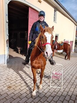 Bulgarischen warmblut stute, Kerstin Lohrer , Pferd kaufen, Donaueschingen 