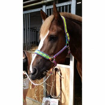 Buntes Pferde-Halfter Größe Warmblut aus Paracord Größe Warmblut, Knotenwerke Handmade, Bettina Schlezak, Halters, Riedstadt