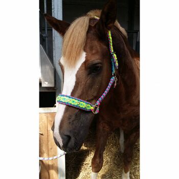 Buntes Pferde-Halfter Größe Warmblut aus Paracord Größe Warmblut Knotenwerke Handmade