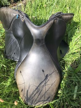 Busse Bristol VSS 17“, schwarz, Busse Bristol , Bianka Mehler, All Purpose Saddle, Gersfeld 