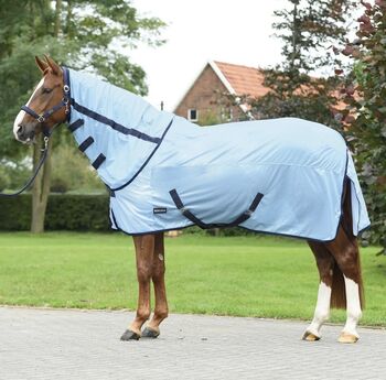 Busse Fliegendecke Paddock Sunshine II, Busse Paddock Sunshine II, Julia, Fly & Insect Control, Verl