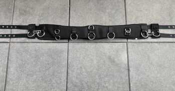 Busse Longiergurt, Busse, Vanessa Kampf, Longieren, Lohbe