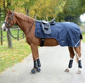 BUSSE AUSREITDECKE RAINTRAINER EVERLINE 125 cm, Busse Ausreitdecke Raintrainer, Birgit K., Horse Blankets, Sheets & Coolers, Bargfeld-Stegen