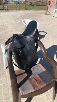 Butterfly VS Sattel, Butterfly , Imke Tjaden, All Purpose Saddle, Emden