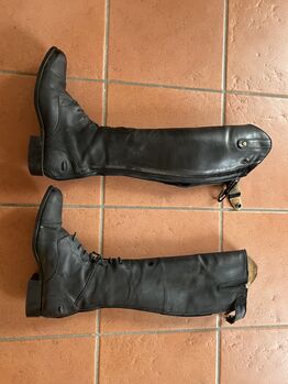 Ariat Reitstiefel, Ariat, Berneiser, Oficerki jeździeckie, Elz