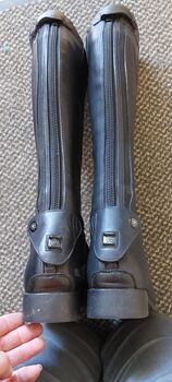 Ariat Reitstiefel Palisade Ariat Palisade