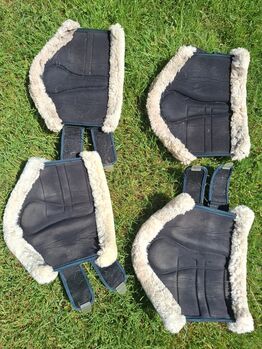 Dressurgamaschen Felix Bühler Cob front Felix Bühler Essentials
