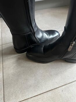 Felix Bühler Dressurstiefel,Größe 38 Höhe 45 Weite 40,Schwarz,neu Felix Bühler