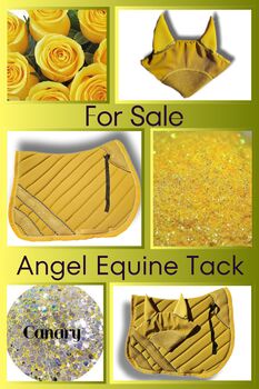 Canary yellow set, Angel Equine , Abbey, Schabracken, Pretoria 