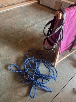 Fahrleine Kutsche, Lisa, Horse Harness, Villingen-Schwenningen 