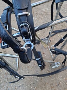 Kutschgeschirr shetty