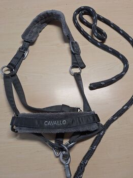 Cavallo Fellhalfter WB mit Strick grau, Cavallo  Fellhalfter, Jenna2017, Halters, Bielefeld 