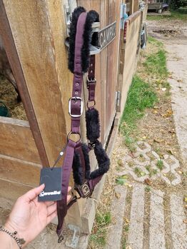 Cavallo Halfter WB
