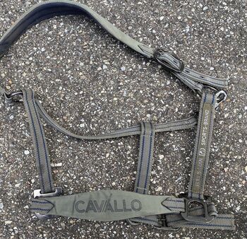 Cavallo Halfter, Cavallo  Halfter , Laura, Halters, Zell unter Aichelberg