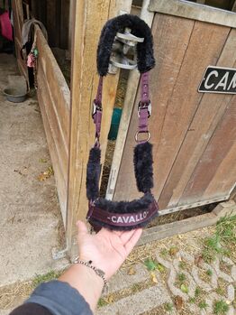 Cavallo Halfter WB, mona, Halters, Petershausen