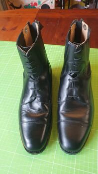 Cavallo Stiefeletten Cavallo  Paddock Edition 