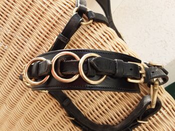 Cavesal Bitless Art of Riding, Jossy Reynfoet Cavesal, Speier, Bitless Bridles, Inzigkofen